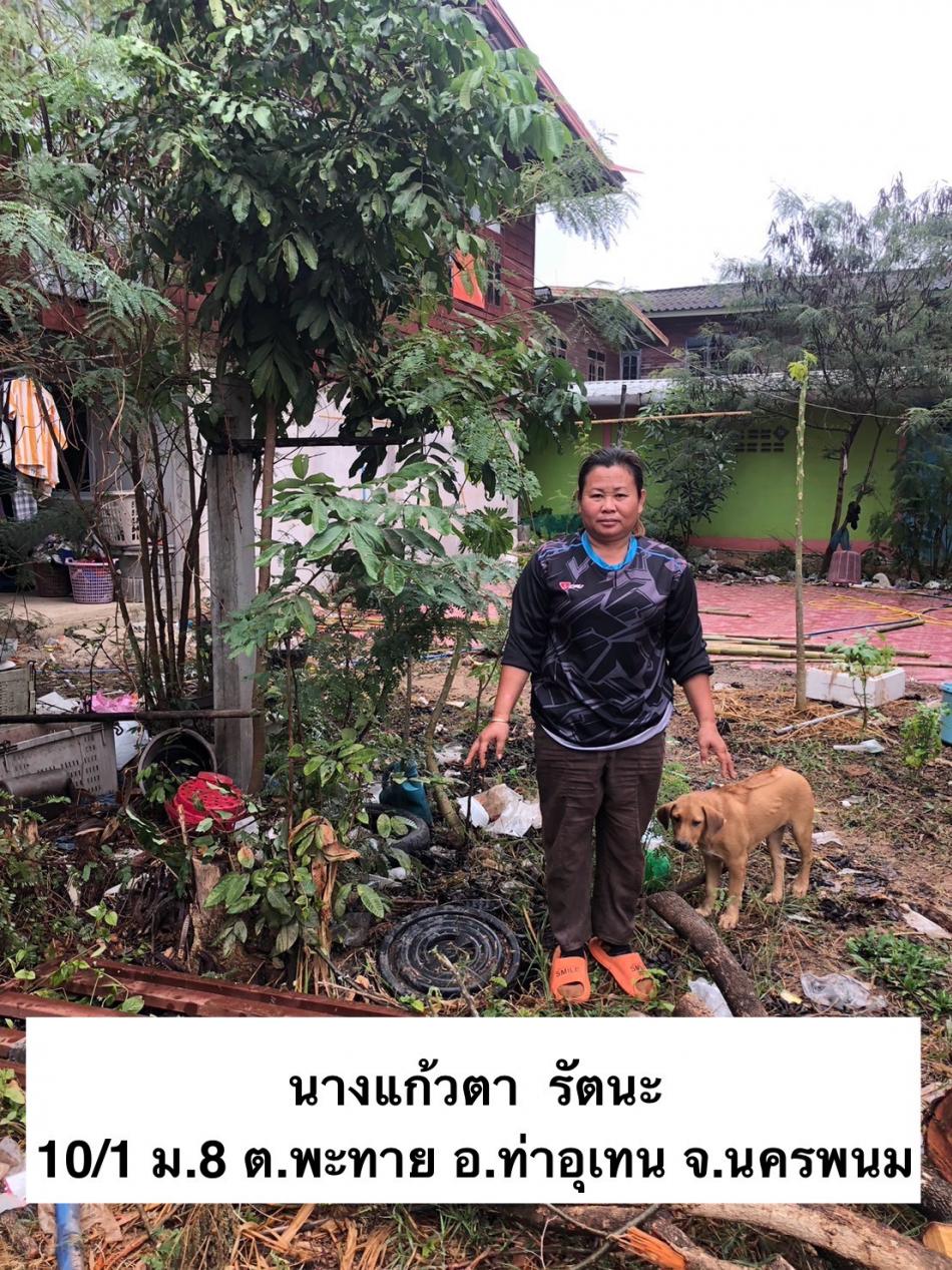 ภาพกิจกรรมโครงการถังขยะเปียกลดโลกร้อน