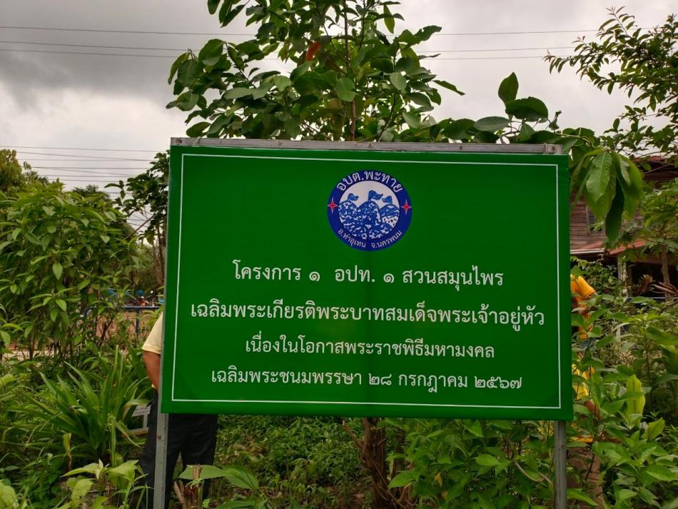 กิจกรรม 1 อปท 1 สวนสมุนไพร